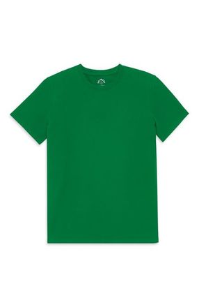 primary Adult Classic Tee in Grass at Nordstrom, Size Xx-Large