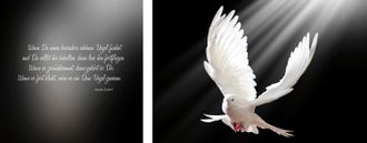 Queence Leinwandbild »Friedenstaube« Kunst Modern Schriftzug Schriftzüge Spa Spa Bilder Sprüche Sprüche & Texte Vogelbilder Vögel Set, Premium-Leinwandstoff, 