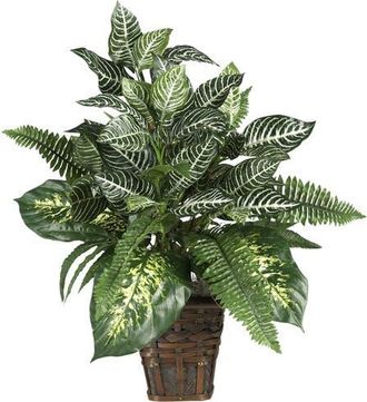 Nearly Natural Mixed Greens Zebra with Wicker Artificial Plant at Nordstrom