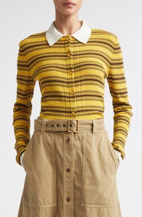 Moncler Stripe Fitted Rib Cotton Cardigan in Yellow/Brown at Nordstrom, Size X-Large