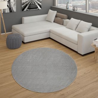 Paco Home Paco Home - Alfombra Sal&oacute;n Lisa Pelo Corto Sencilla Moderna Color Plata &Oslash; 120 Cm Redondo