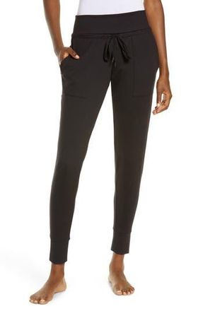 Felina Velvety Soft Joggers in Black at Nordstrom Rack, Size Large