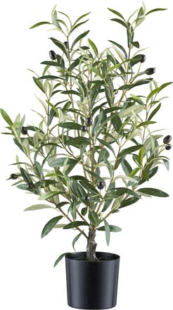 Creativ Green Kunstpflanze