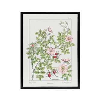 Artery8 Wild Rose Flower Framed Canvas Wall Art Print Vintage Floral Verneuil in White | Size: W24 x H32