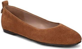 Naturalizer Ava Ballet Flat in Chestnut Leopard at Nordstrom, Size 6.5