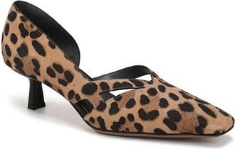 Franco Sarto Roselyn Kitten Heel Pump in Camel Tan at Nordstrom, Size 5