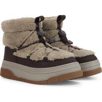 Pajar Janie Waterproof Insulated Platform Boot in Dark Brown/taupe at Nordstrom, Size 6