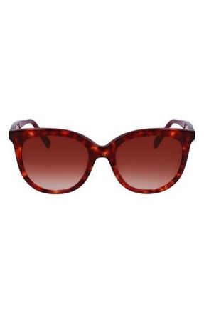 Longchamp 54mm Gradient Tea Cup Sunglasses in Red Havana at Nordstrom Rack