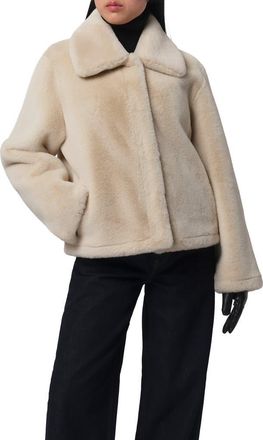 Apparis Elis Pluche Faux Fur Coat in Latte at Nordstrom, Size X-Small
