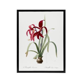 Artery8 Aztec Lily Botanical Redoute Vintage Black Framed Canvas Wall Art in White | Size: W24 x H32