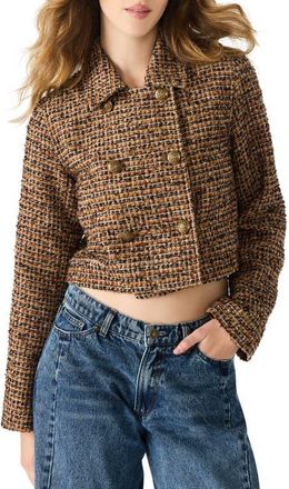 Steve Madden Avie Tweed Jacket in Brown Plaid Mix at Nordstrom, Size Xx-Large