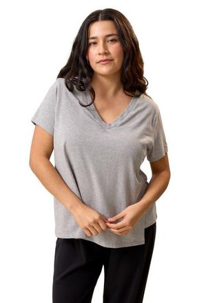 Kindred Bravely Classic Modal V-Neck Nursing T-Shirt in Grey Heather at Nordstrom, Size X-Large