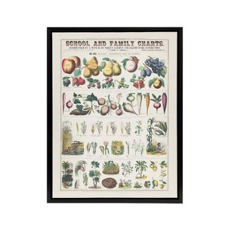Artery8 School & family chart No XXI Calkins Framed Canvas Wall Art Print in White | Size: W24 x H32