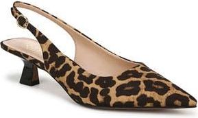 Franco Sarto Jaden Pointed Toe Slingback Pump in Brown at Nordstrom Rack, Size 10