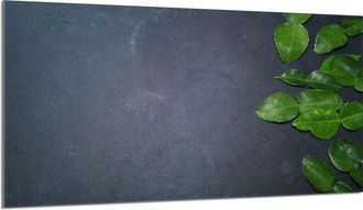 OEM Placa De Protecci&oacute;n De Horno De Vidrio 90x52 Pizarra