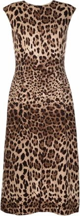 Dolce & Gabbana Luipaardprint midi-jurk in bruin - Dames - Casual kleedjes - Bruin - 2XS - Wol - Kleedjes