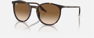 Ray-Ban Unisex Rb2204 Oval Sunglasses In Havana - Gradient Brown