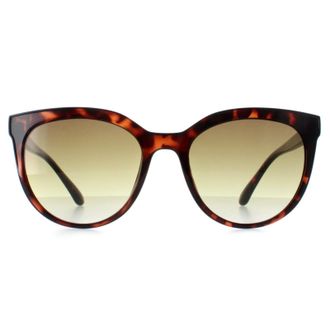 Calvin Klein CK22552S 240 glanzende zonnebril havana bruin met kleurverloop