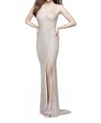 Primavera Embroidered Beaded Gown In Blush