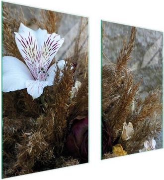 OEM Placa Protectora De Vidrio Para Estufa 75x52 Orqu&iacute;dea