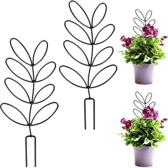 OEM Paquete De 2 Estacas Para Plantas De Interior, Ayuda Para Trepar, Soporte Para Plantas De Interior - Crezuo
