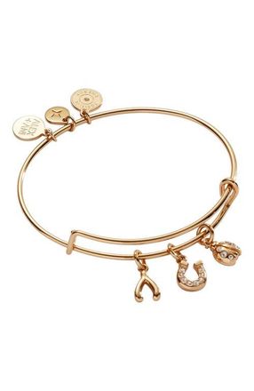 Alex and Ani Love and Luck Multi Charm Bangle Bracelet in Gold at Nordstrom