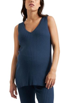 Ripe Sophie Rib Knit Nursing Top in French Navy at Nordstrom, Size Large Au