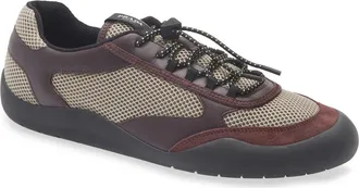Prada Speedrock Mixed Media Sneaker in Argilla/bordeaux at Nordstrom, Size 10.5