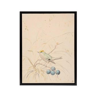 Artery8 PC Skovgaard Kingbird on a Meadow Branch Framed Canvas Wall Art Print in Beige | Size: W24 x H32