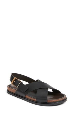 The Row Buckle Crisscross Sandal in Black at Nordstrom, Size 10.5Us