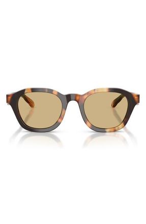 Tory Burch 48mm Phantos Sunglasses in Contrast Tortoise /Yellow at Nordstrom