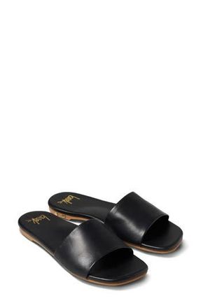 beek Honeybird Square Toe Slide Sandal in Black/Black at Nordstrom Rack, Size 7