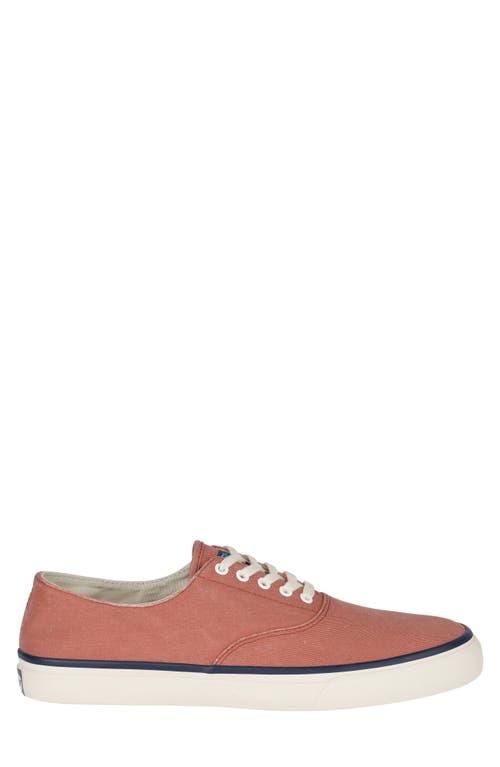 Sperry Top-Sider Low-Cut Shoes − Sale: up to −55% | Stylight