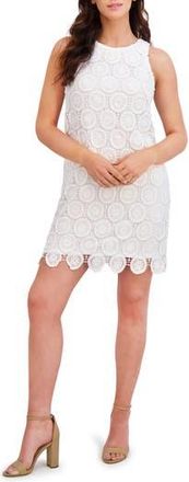 London Times Chemical Lace Shift Dress in White at Nordstrom Rack, Size 10P