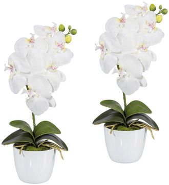 Creativ Green Kunstpflanze »Orchidee Phalaenopsis« im Keramiktopf