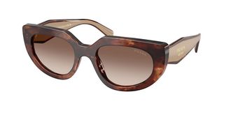 Prada PR D02SF Asian Fit 00K10S Womens Sunglasses Tortoiseshell Size 54
