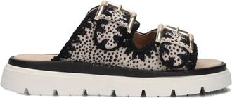 Maruti Dames, Schoenen, Zwart, Maat: 39 EU Leer