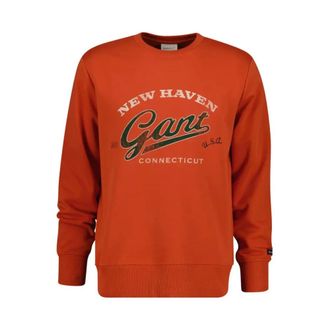 GANT Heren, Sweatshirts & Hoodies, Oranje, Maat: S Katoen