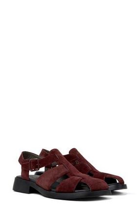 Camper Dana Fisherman Sandal in Burgundy at Nordstrom Rack, Size 38