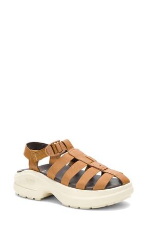 Chaco Cushform Fisherman Sandal in Cabin at Nordstrom, Size 10