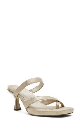 Anne Klein Jevelli Toe Loop Sandal in Gold at Nordstrom, Size 9.5