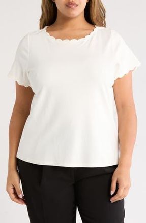 T Tahari Scallop T-Shirt in White at Nordstrom Rack, Size 3X