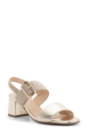 Ara Bordeaux Slingback Sandal in Beige at Nordstrom Rack, Size 9.5