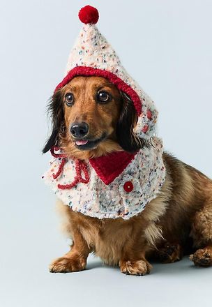Anthropologie Hat & Bandana Pet Set