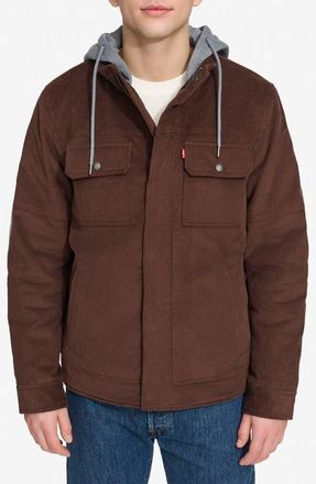 Levi's Hooded Corduroy Jacket in Chocol Bro at Nordstrom, Size Xx-Large