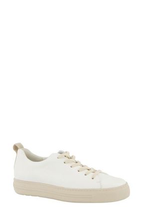 Paul Green Ajay Low Top Sneaker in Cream Nappa at Nordstrom, Size 6.5Us