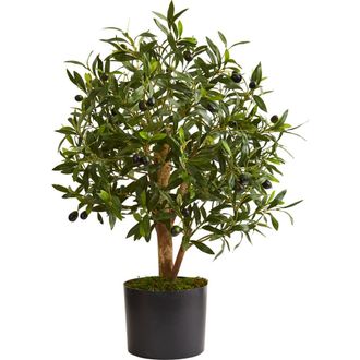 Nearly Natural 29-in Olive Artificial Tree in Green at Nordstrom