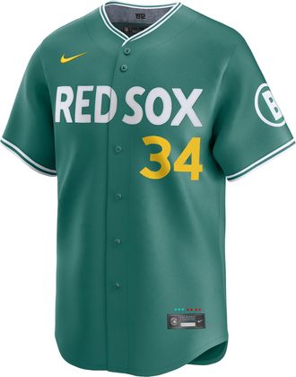 Nike David Ortiz Boston Red Sox City Connect Mens Nike Mens Dri-FIT ADV MLB Limited Jersey in Green | LM250CE7QYH-DN9