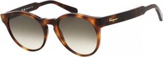 Ferragamo Womens SF1068S-240 SF1068S 52 240 Fashion Sunglasses - Brown - One Size
