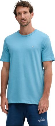 Calvin Klein Mens Short Sleeve Round Neck Smooth Solid T-Shirt, Blue (Blue Steam), XL